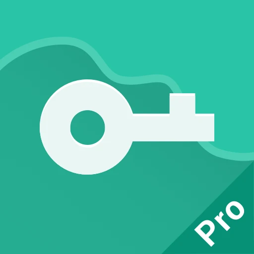 VPN Master Pro مهكر
